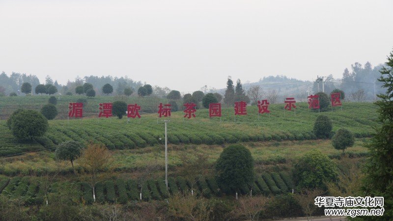 ��̼?x��)�o�n�M(j��n)ǧ�h ��ȫʳƷ�M(j��n)�f�ҡ����F�݄P���