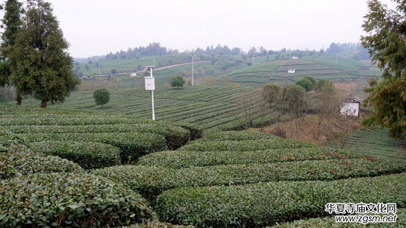 ��̼?x��)�o�n�M(j��n)ǧ�h ��ȫʳƷ�M(j��n)�f�ҡ����F�݄P���