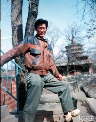 Ц����ʮ���Ԋһ�M