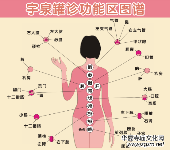 ��Ȫ���\�ޯ��İl(f��)���c��(chu��ng)��