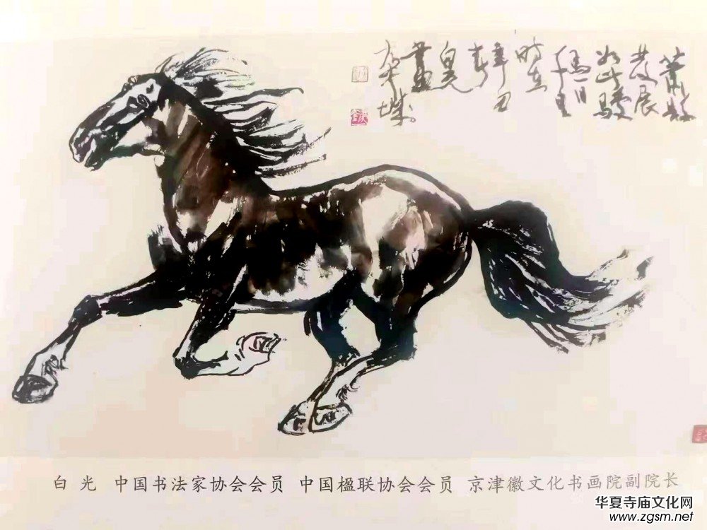 ��(sh��)��(hu��)���Ұ׹���Ʒ�����ԕ�(sh��)�뮋(hu��) Ԋ(sh��)������