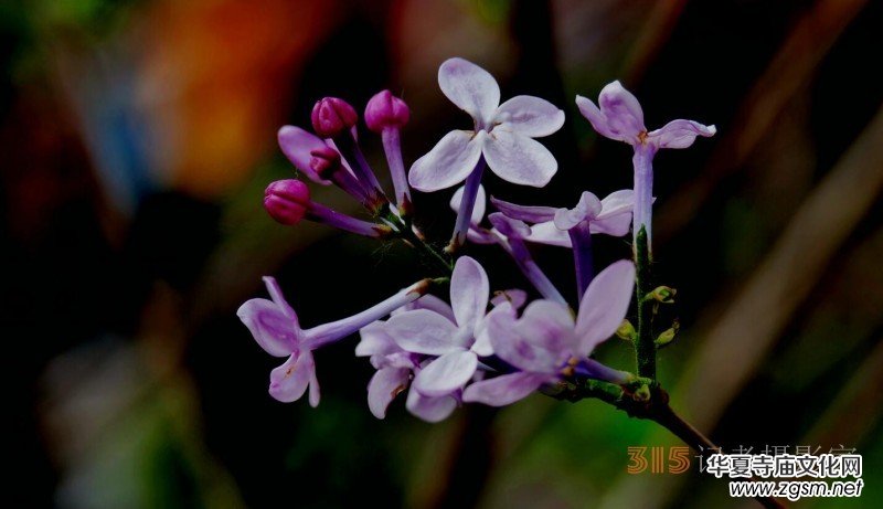 �������ć�(gu��)�W(xu��)Ժһ�е���Դ���p����Ԋ(sh��)�~��(sh��)��(hu��)����