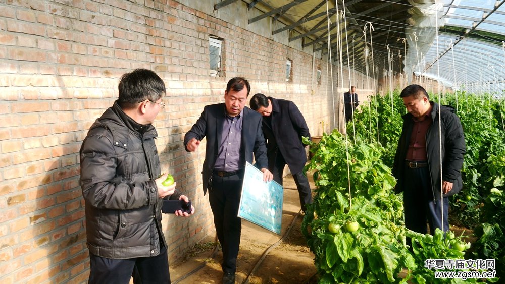 �l(xi��ng)�d��ý�W(w��ng)��ʽ�Ͼ����l(f��)�������l(xi��ng)�d�Ї���Մ�����Ї��r(n��ng)��Ժ���H�����r(n��ng)�I(y��)�a(ch��n)�I(y��)�@�e�k