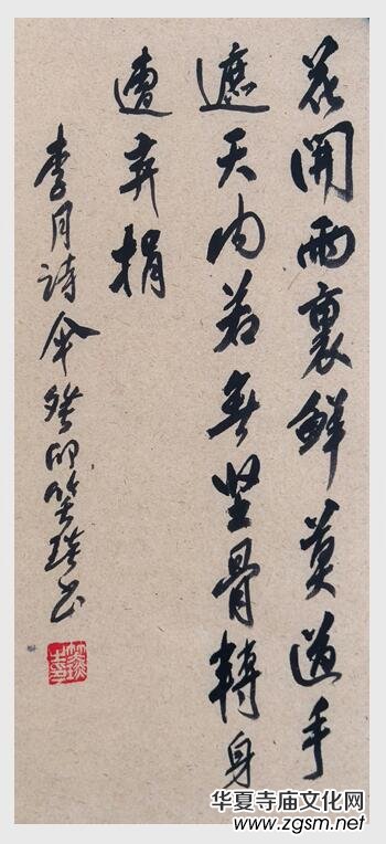 2024��Ц��������������Ԋ�~�W(w��ng)�j(lu��)չ