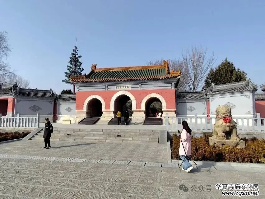 Ц����Ԋ��������������ӛ���MԊ��